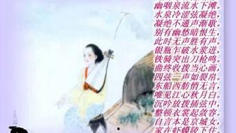 琵琶行网红视频,穿越时空的旋律,网红视频带你领略古典韵味