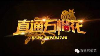 广播娱乐综艺节目,热门广播娱乐综艺盘点